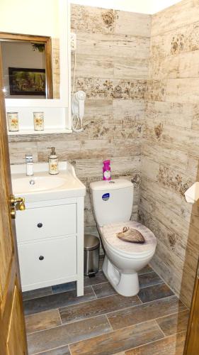 a bathroom with a toilet and a sink at T.H.NY Village Inn Cottage in Tihany