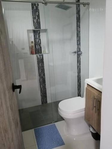 a bathroom with a toilet and a glass shower at Super apartamento en la mejor ubicacion de Cartago in Cartago
