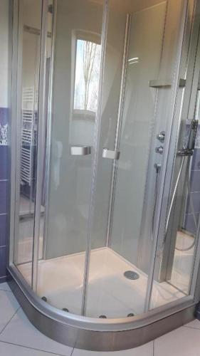 a shower with a glass door in a bathroom at DOMAINE DE JANVILLE in Paluel