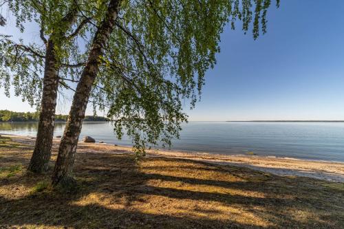 a tree on the shore of a body of water at Hara Beach house in Hara