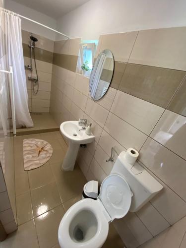 a bathroom with a toilet and a sink at Pensiunea Denis in Cârțișoara