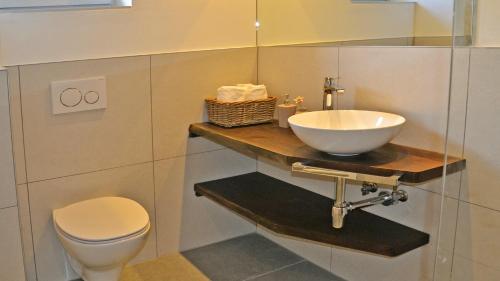 a bathroom with a sink and a toilet at Residence Ferienwohnungen Sonnegg in Vollan