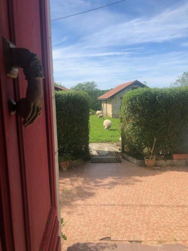 an open door to a yard with sheep in the grass at Un écrin dans la nature in Espelette