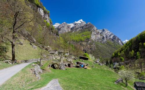 a grassy hill with a road and a mountain at Casa Eva in Brione