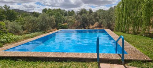 a blue swimming pool in a field with trees at Casa rural Arroyo Marco in Guadalcanal