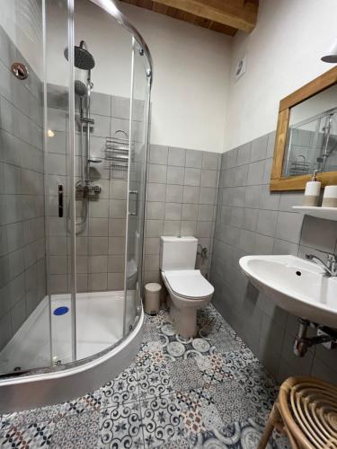 a bathroom with a shower and a toilet and a sink at Siedlisko na Górce in Zalec