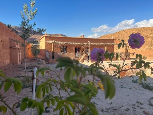uma casa no deserto com flores roxas em primeiro plano em Berberbayt lodge maison privé em Tinghir