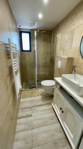 une salle de bain avec une douche, des toilettes et un lavabo dans l'établissement Maisonnette chaleureuse a proximité du centre, à Narbonne