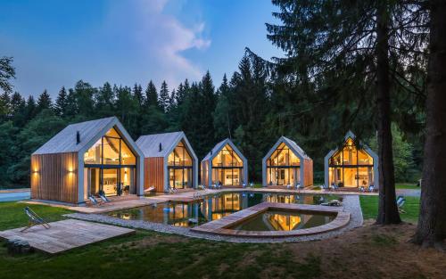 a house with a pool in front of it at Drewniana Róża Domki Karkonosze in Piechowice