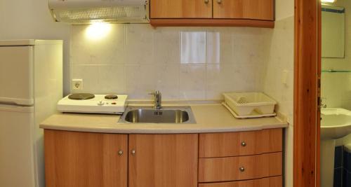 a small kitchen with a sink and a stove at Adonis in Kallithea Halkidikis