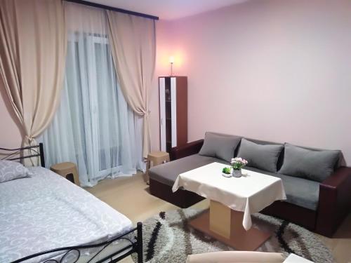 ein Wohnzimmer mit einem Sofa und einem Tisch in der Unterkunft Apartman 1 in Vrnjačka Banja