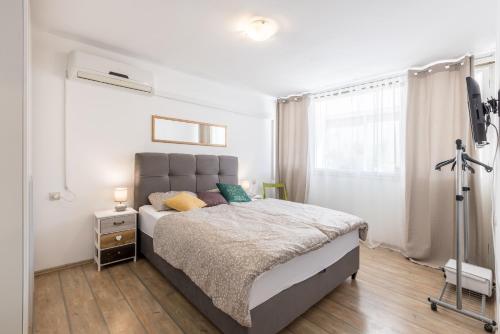 Sunny City Apartment