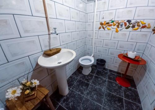 a bathroom with a sink and a toilet at BITUCA HOSTEL CAFÉ in Milho Verde