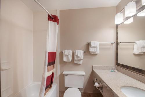 a bathroom with a white toilet and a sink at Red Roof Inn Dahlgren - Naval Base in Dahlgren