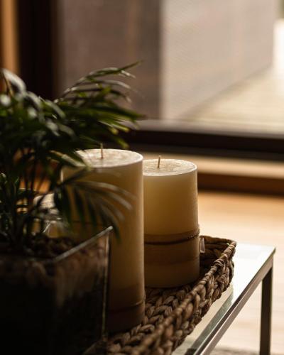 two candles sitting on a table with a potted plant at Cabañas Arrayanes de Huillinco en Chiloé in Chonchi
