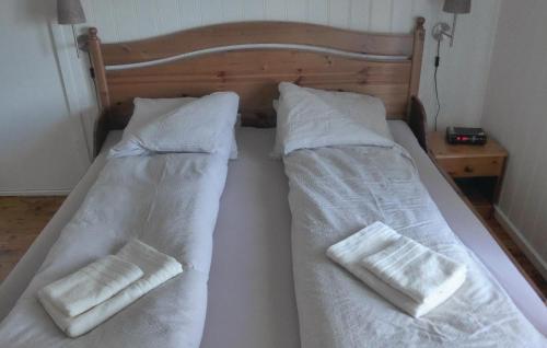 two beds in a room with white sheets and pillows at Beautiful Home In Vega With Wifi in Holand