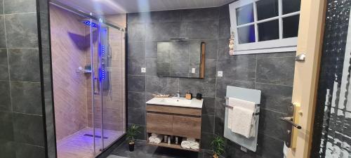 a bathroom with a sink and a shower at Luxe-Home in Châtenoy-le-Royal