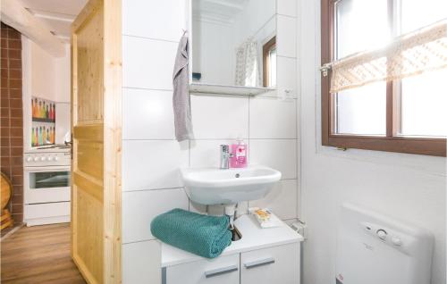 een witte badkamer met een wastafel en een spiegel bij Nice Home In Heiligenbrunn With Kitchenette in Heiligenbrunn
