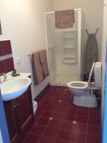 uma casa de banho com um WC, um lavatório e um chuveiro em Blue House at Mountainside Wines em Mount Cole