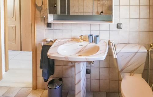 een badkamer met een wastafel en een toilet bij Nice Apartment In Jesberg - Densberg With Wifi in Densberg