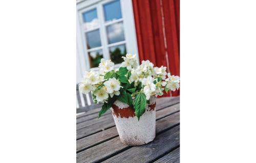 a vase filled with white flowers sitting on a porch at Holiday Home Skogstorp Gård Holmsjö in Holmsjö