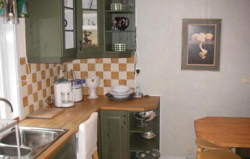 a small kitchen with green cabinets and a sink at 3 Bedroom Beautiful Home In Trosa in Trosa