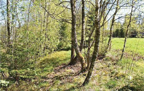 a wooded area with trees and a field in the background at Pet Friendly Home In Broaryd With Wifi in Gryteryd