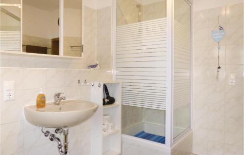 ein weißes Bad mit einem Waschbecken und einer Dusche in der Unterkunft Stunning Apartment In Gelenau-erz, With Kitchen in Amtsberg