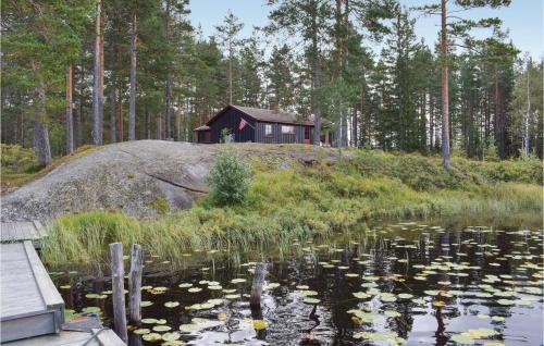 eine Hütte auf einem Hügel neben einem Teich in der Unterkunft Lovely Home In Vegårshei With Sauna in Vegårshei