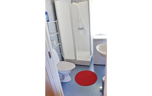 a bathroom with a white toilet and a red rug at Awesome Home In Svanskog With Wifi in Svanskog