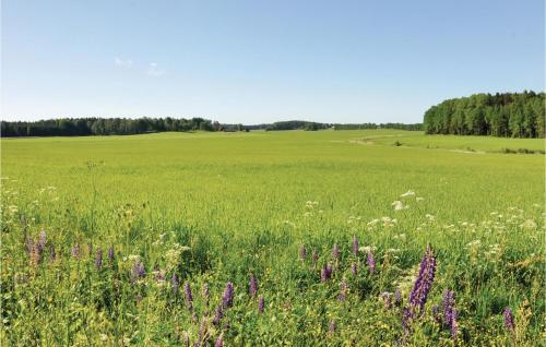 a field of grass with purple flowers in the foreground at Beautiful Home In Säffle With Kitchen in Säffle