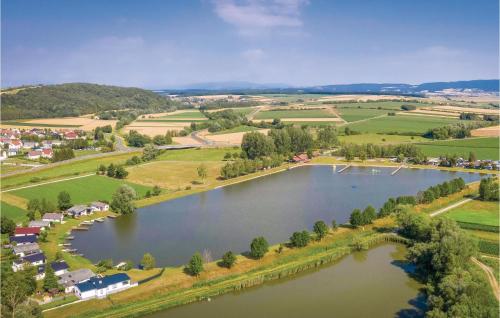 an aerial view of a lake with houses and trees at Ferienhaus In Hannersdorf in Hannersdorf