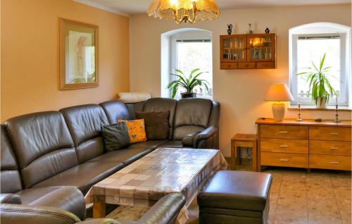 a living room with a leather couch and a table at Pet Friendly Apartment In Freiberg in Freiberg