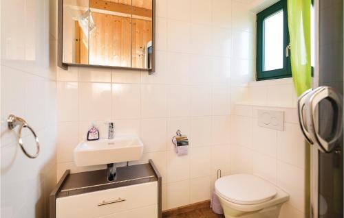 a bathroom with a sink and a toilet and a mirror at Ferienhaus Kohfidisch in Kohfidisch