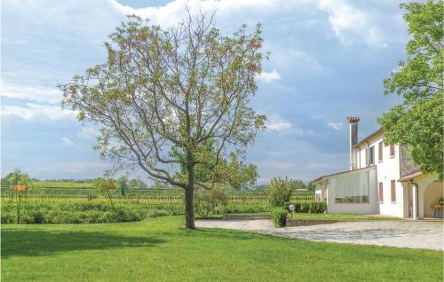 a tree in a yard next to a house at Casa Di Mamy in Sant'Elena di Silea