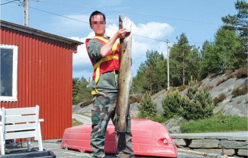 a man is holding a cat on a wooden pole at Beautiful Home In Hatlestrand in Hatlestrand