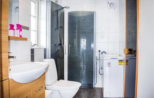 ein Bad mit einer Dusche, einem WC und einem Waschbecken in der Unterkunft Awesome Home In Hyltebruk With Sauna in Hyltebruk
