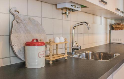 una cocina con fregadero y una lata en la encimera en Nice Apartment In Kollumerpomp With Wifi, en Kollumerpomp