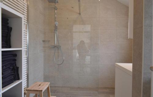 a bathroom with a shower with a person in it at Vwa De Panne in Adinkerke