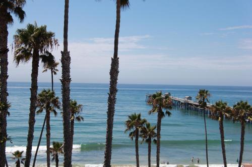 a group of palm trees on a beach with the ocean at Sea Horse Resort in San Clemente
