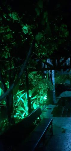 Taman di luar Pousada 4 cantos