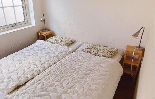 ÅsljungaにあるNice Home In sljunga With 2 Bedroomsの枕2つが備わるドミトリールームのベッド1台分です。