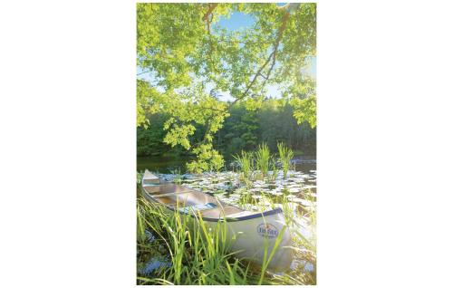 two canoes sitting in the water on a lake at Beautiful Home In Svängsta With Sauna in Svängsta