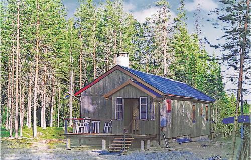 a small cabin in the middle of a forest at Gorgeous Home In Särna With Sauna in Ringbo