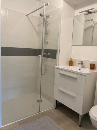 a bathroom with a shower and a toilet and a sink at Résidence l’Esprit de la mer in Combrit
