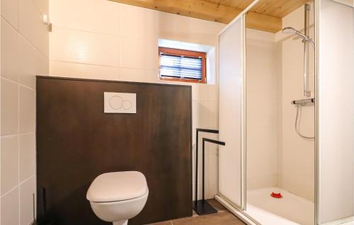 La salle de bains est pourvue d'une douche et de toilettes. dans l'établissement Kellerstoeckl Suedburgenland, à Eisenberg an der Pinka
