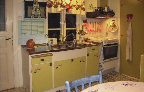 een kleine keuken met een wastafel en een fornuis bij Nice Home In Hrby With 1 Bedrooms And Wifi in Hörby