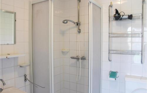een douche met een glazen deur in de badkamer bij Awesome Home In Tzummarum With 3 Bedrooms, Wifi And Outdoor Swimming Pool in Tzummarum