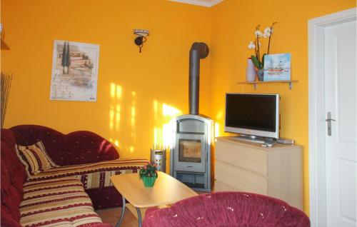 a living room with a fireplace and a tv at Beautiful Apartment In Fuhlendorf in Fuhlendorf