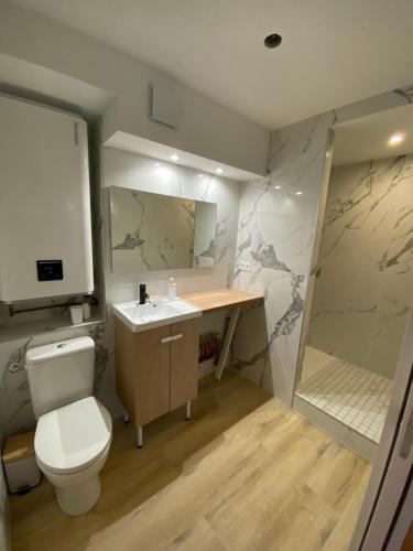 une salle de bain avec toilettes, lavabo et douche dans l'établissement Studio Saint cyprien Plage, à Saint-Cyprien